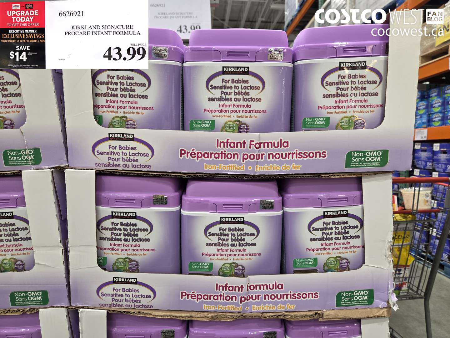 kirkland signature procare infant formula