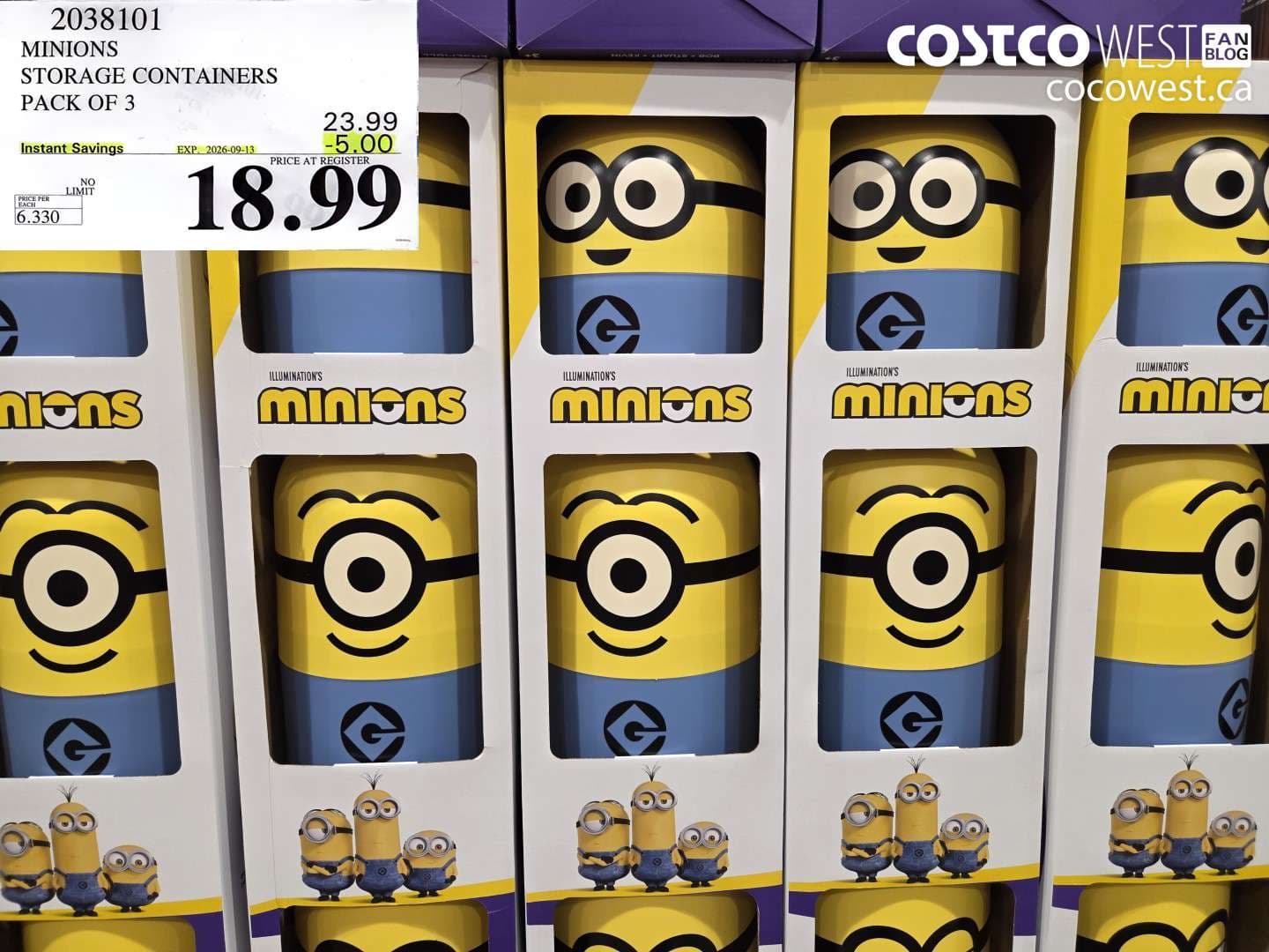 minions storage containers pack of 3