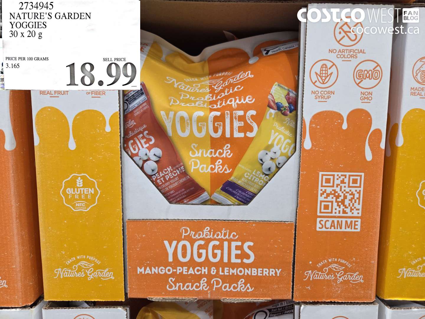 NATURE’S GARDEN YOGGIES 30 X 20 G