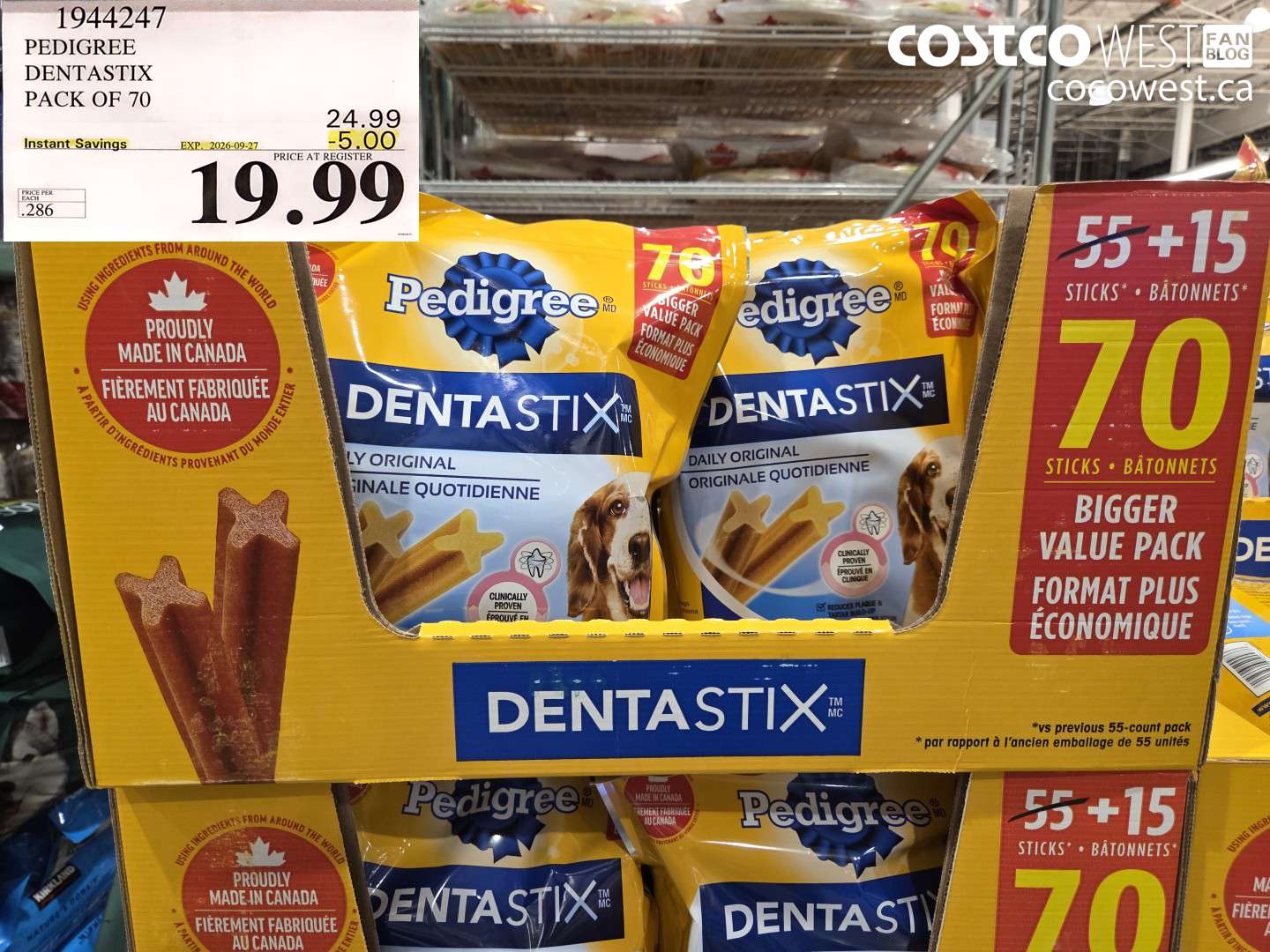 pedigree dentastix pack of 70