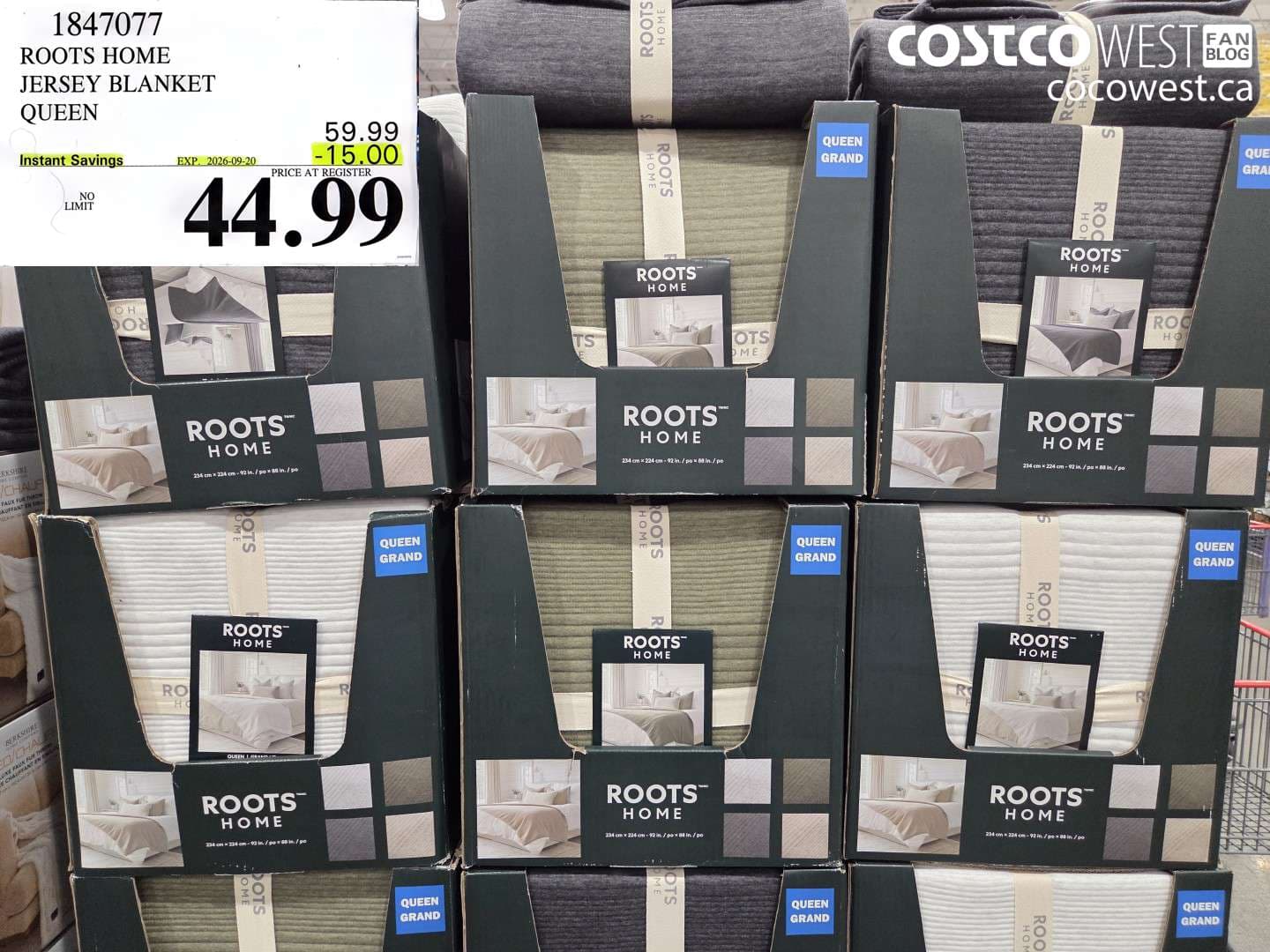 ROOTS HOME JERSEY BLANKET QUEEN