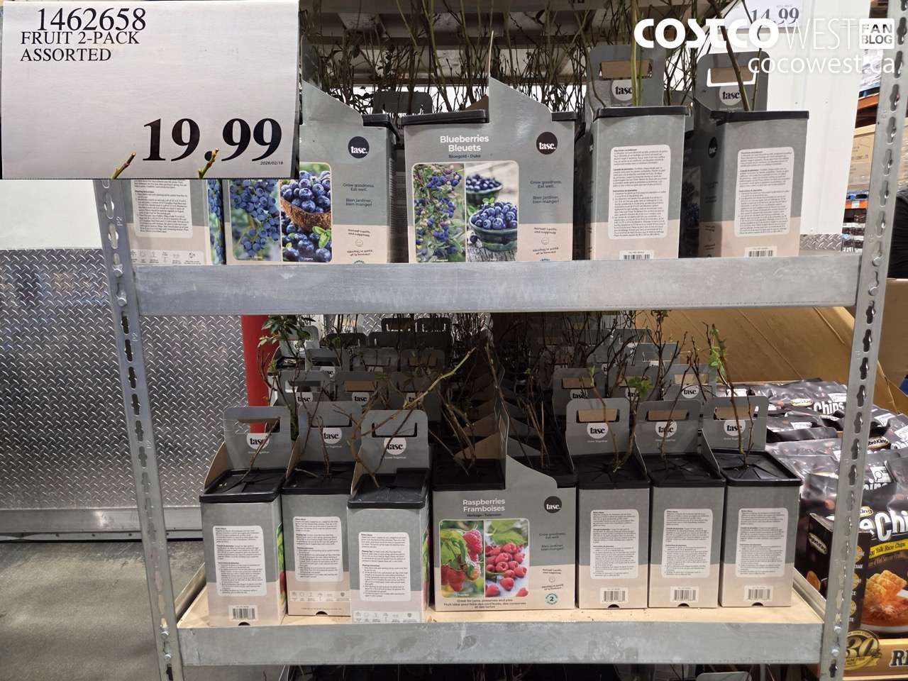 fruit 2pack assorted