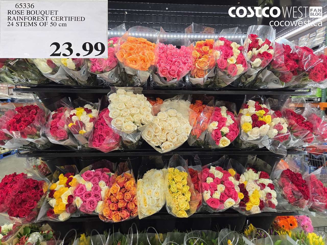 rose bouquet rainforest certified 24 stems of 50 cm