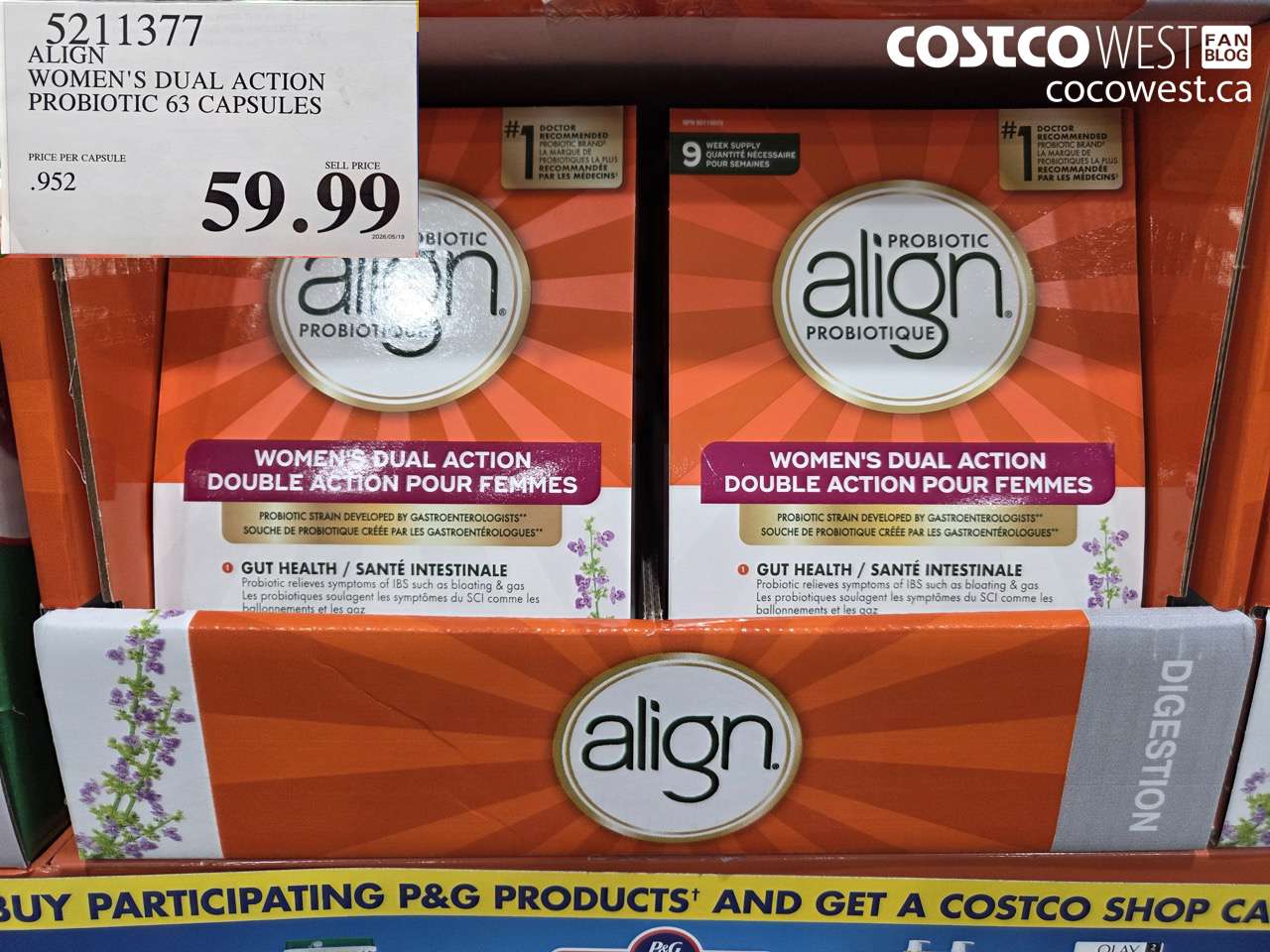 align womens dual action probiotic 63 capsules