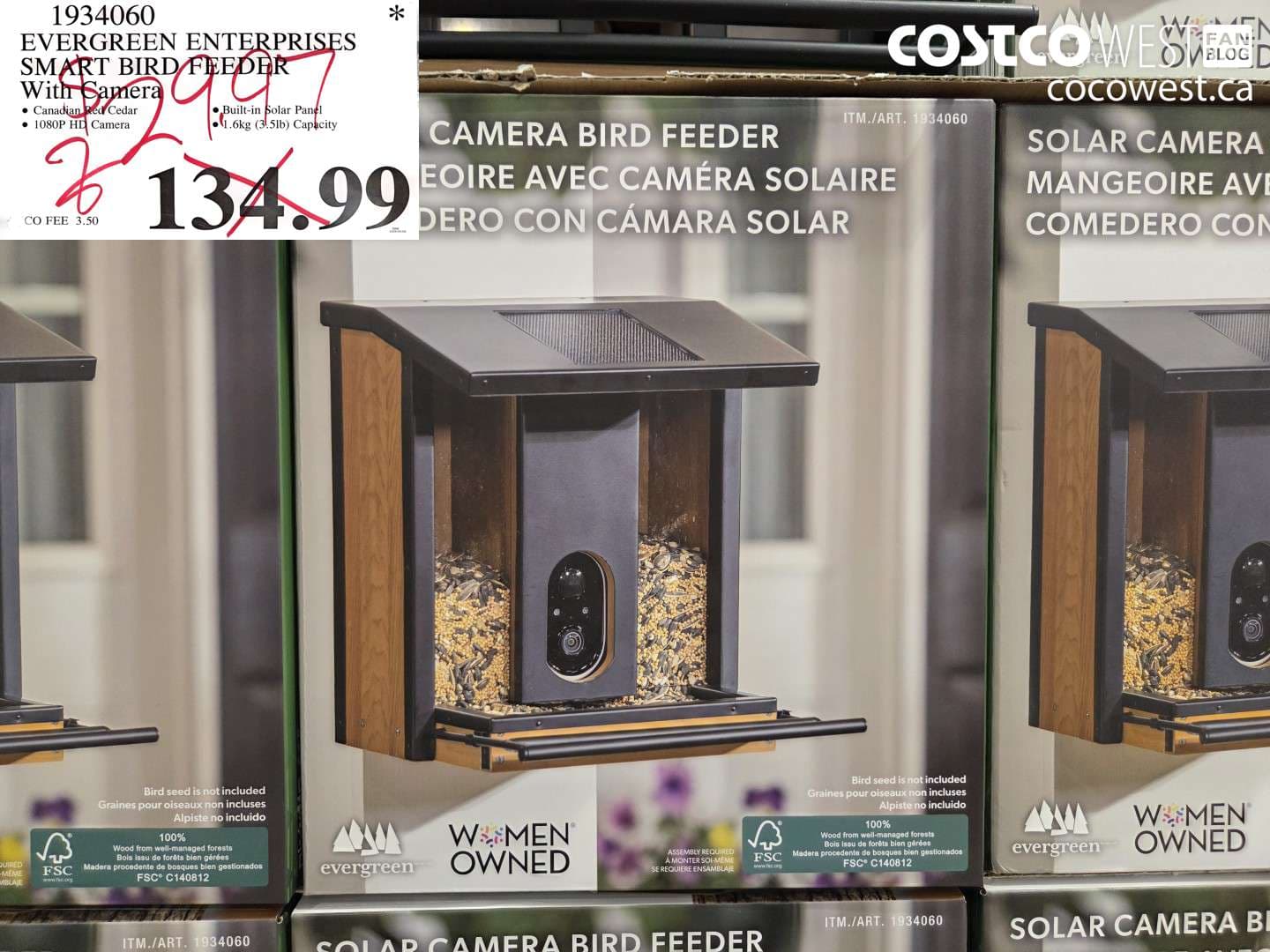 evergreen enterprises smart bird feeder with camera