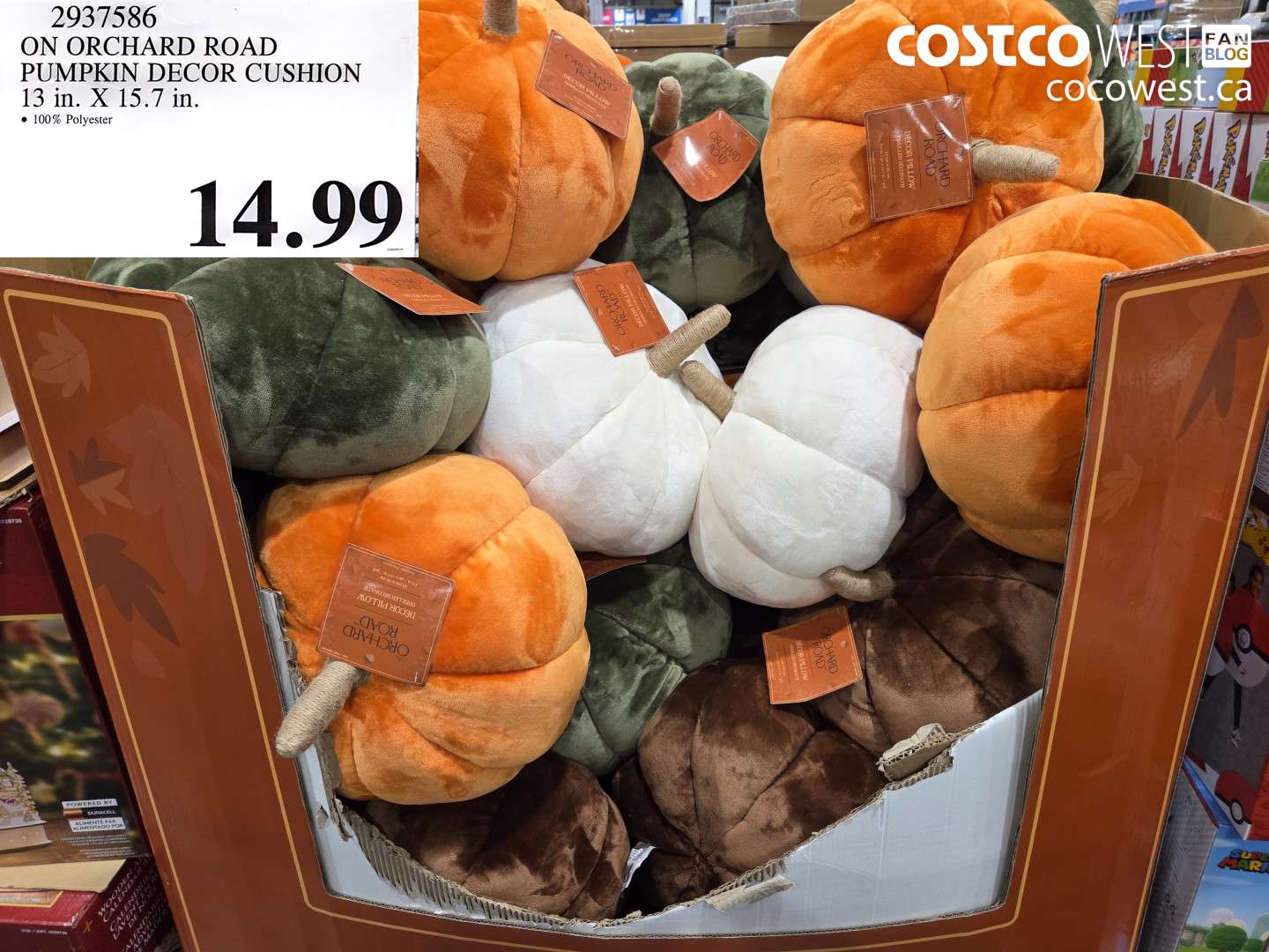 on orchard road pumpkin decor cushion 13 in x 157 in